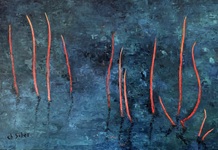 Cliquez ici pour zoomer