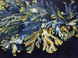 Image flottante