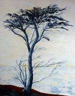 Cliquez ici pour zoomer